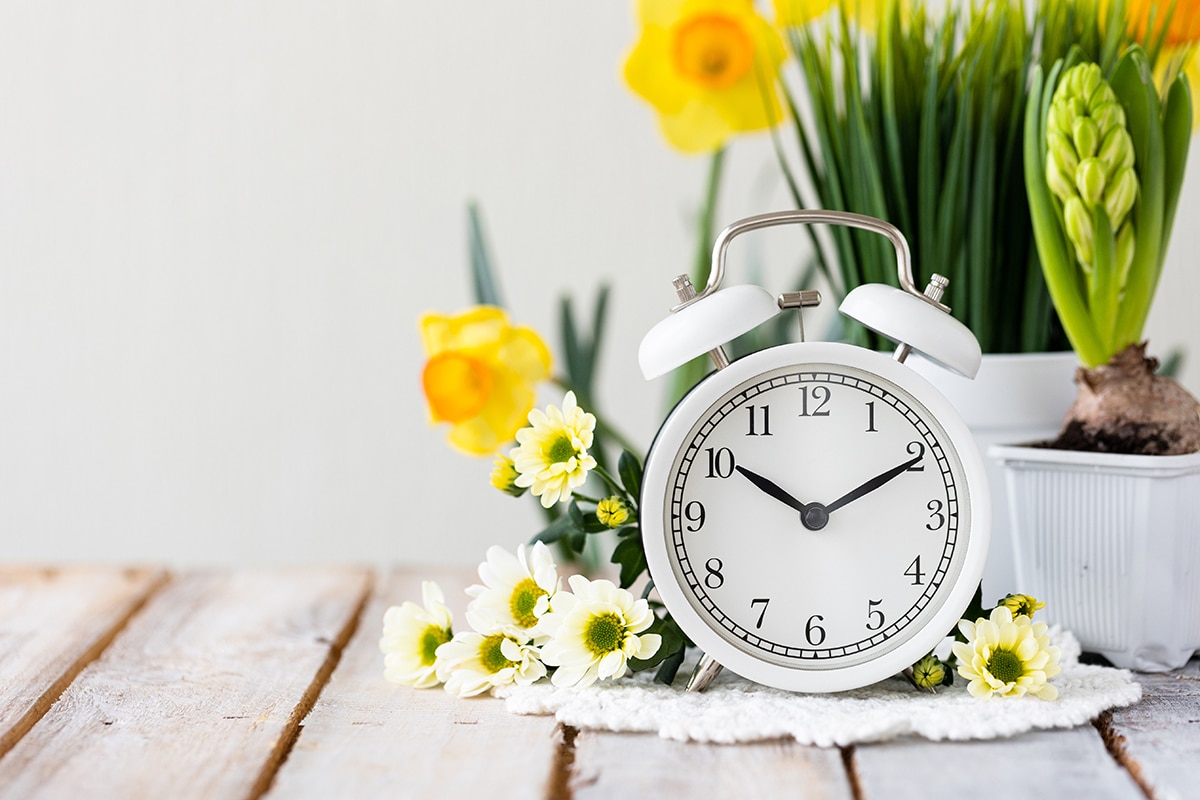 Productivity & Time Management Coaching